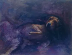 Hundi – aus der Dunkelheit ans Licht by Gerd Krenckel